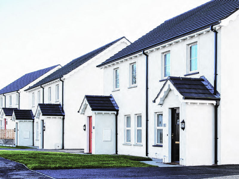 Gortin Meadows, Derry